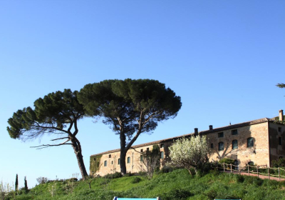 Agriturismo Rustico Feudo San Giorgio